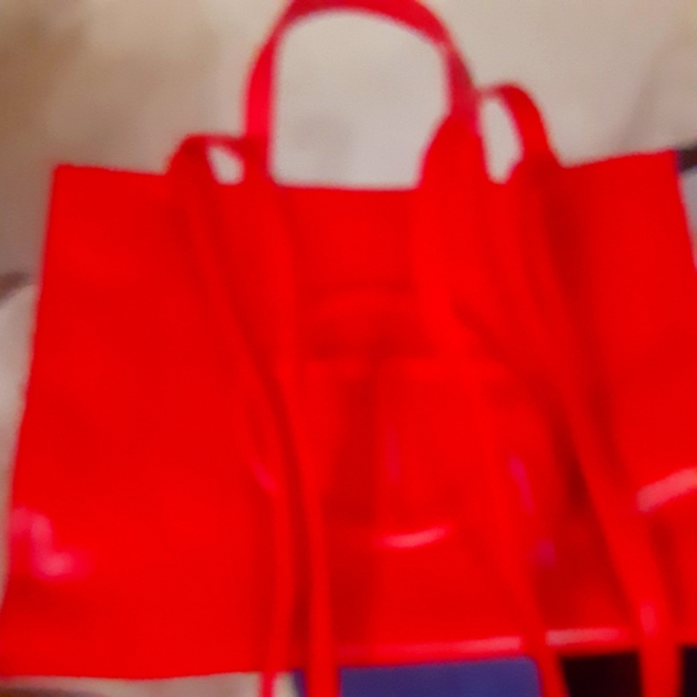 Telfar purse new medium